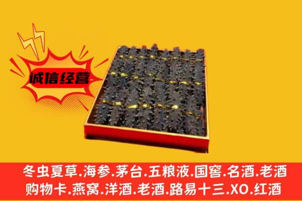 土默特右旗回收海参